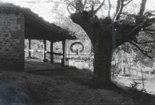 AR-KM-00036-681f1df7945cd5.76411377.jpeg